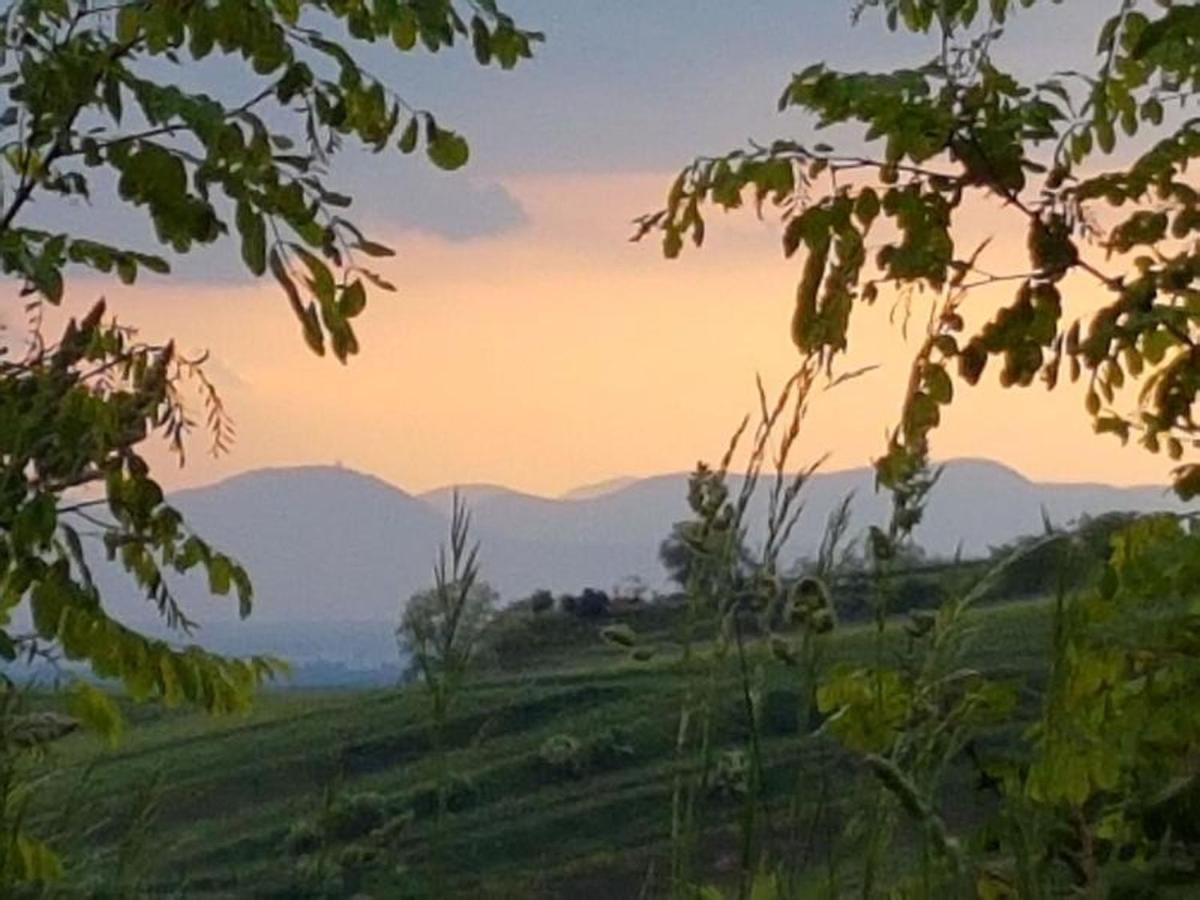 Apartmán Feriendomizil Bergamini Bischoffingen Exteriér fotografie