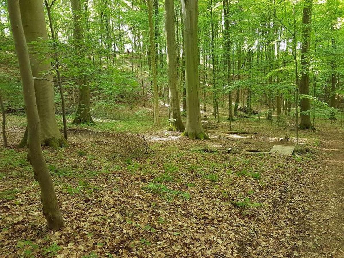 Apartmán Feriendomizil Bergamini Bischoffingen Exteriér fotografie